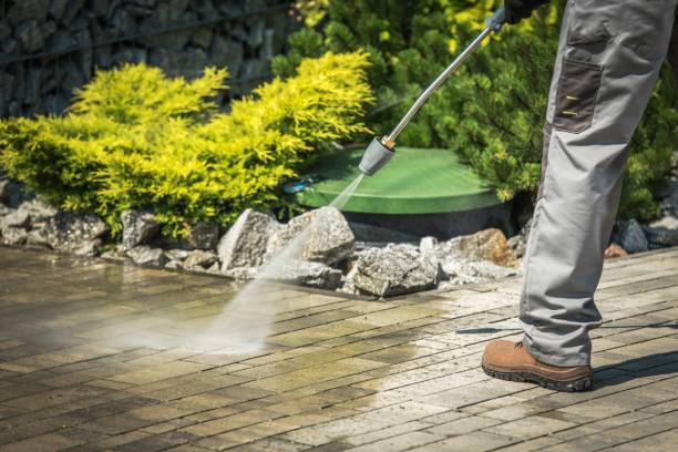 Best Solar Panel Cleaning  in Kelseyville, CA