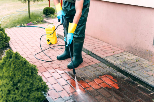 Best House Exterior Washing  in Kelseyville, CA