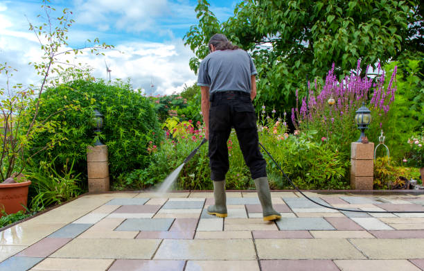 Best Restaurant Pressure Washing  in Kelseyville, CA